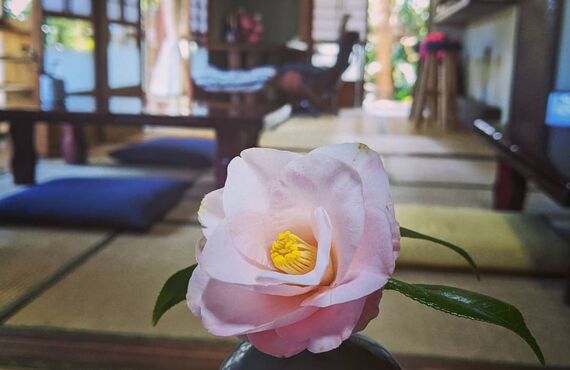 大網でゆったりとした雰囲気のカフェを営んでおりますのでご来店ください